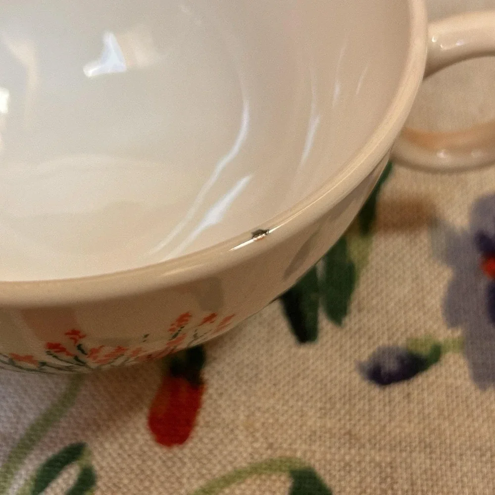 VTG Arizona Cactus Dinnerware Ocotillo Teacup Saucer Mid-Century Southwestern